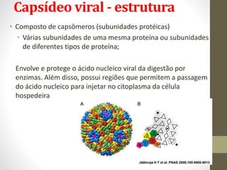 Capsídeo viral - estrutura
Simetria dos capsídeos:
 
