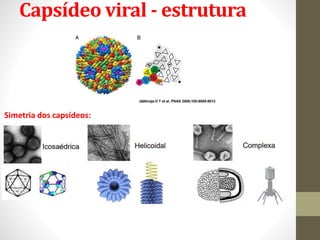 Capsídeo
 Proteínas codificadas pelo genoma viral (protômeros);
 Proteção e rigidez;
 Simetria:
Icosaédrica Helicoidal ...