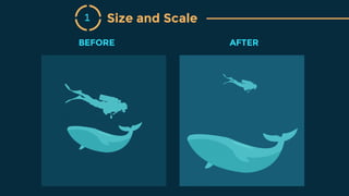 Size and Scale1
BEFORE AFTER
 