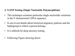 2- Y-SNP Testing (Single Nucleotide Polymorphism):
• This technique examines particular single nucleotide variations
in the Y chromosome's DNA sequence.
• It can reveal details about historical migratory patterns and the
haplogroup to which a person belongs.
• It is utilized for deep ancestry testing.
• Following Figure showing down:
 