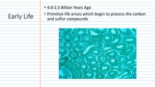 Early Life
• 4.0-2.5 Billion Years Ago
• Primitive life arises which begin to process the carbon
and sulfur compounds
 