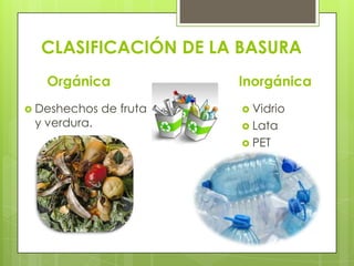 CLASIFICACIÓN DE LA BASURA
   Orgánica              Inorgánica
 Deshechos   de fruta    Vidrio
 y verdura.               Lata
                          PET
 