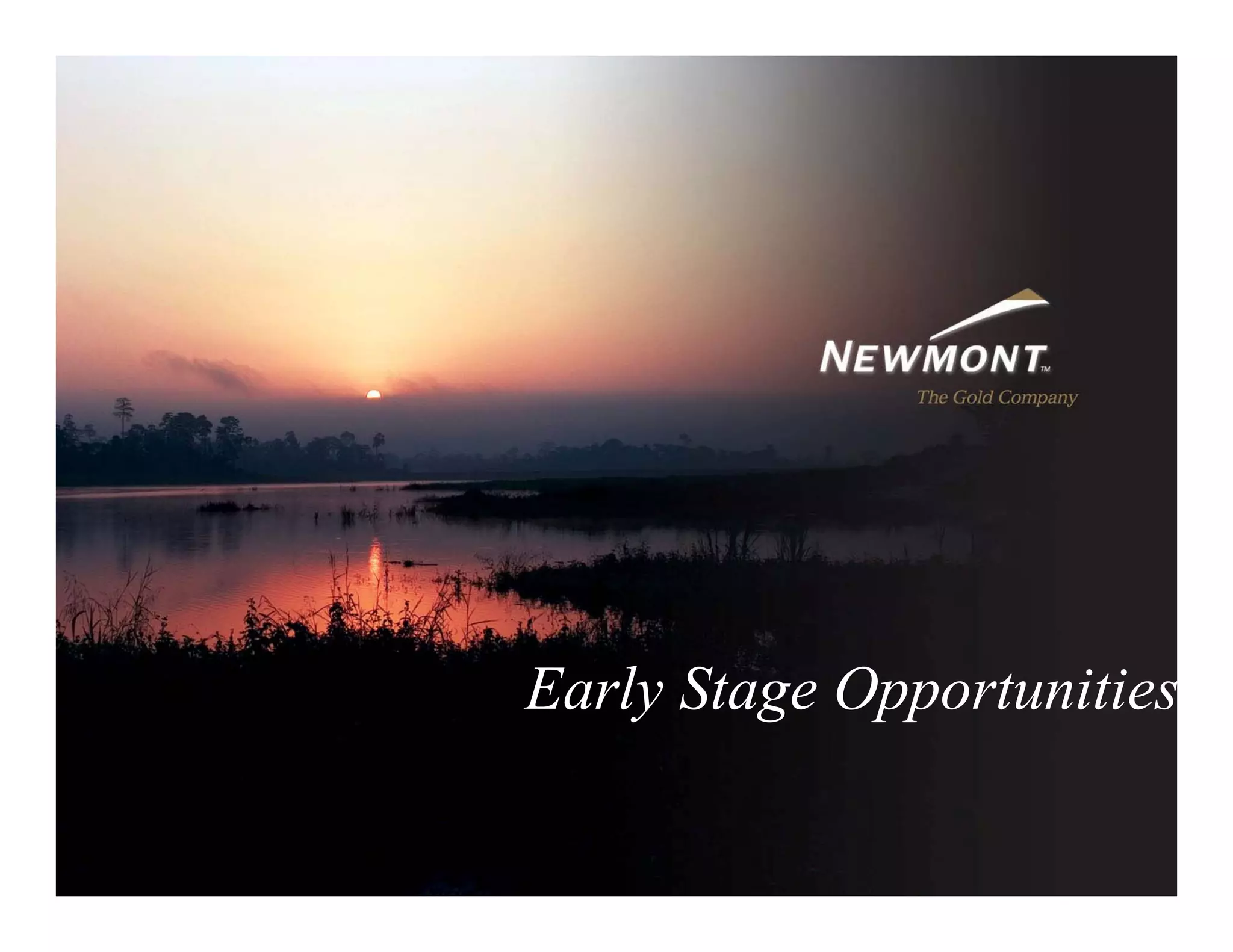 newmont mining 2_Cap_Eff_Final