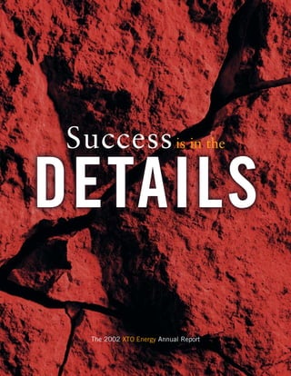 Success is in the
DETAILS
   The 2002 XTO Energy Annual Report
 