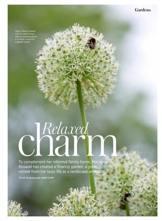 Words & photographs LEIGH CLAPP
To complement her informal family home, Marian
Boswall has created a flowing garden, a green
retreat from her busy life as a landscape architect
Allium ‘Mount Everest’
with its cream flower
spheres standing proud,
is a stately choice for
a garden border
Gardens
Relaxed
charm
 