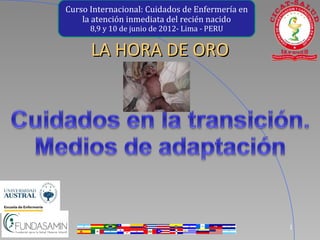 Curso Internacional: Cuidados de Enfermería en
    la atención inmediata del recién nacido
      8,9 y 10 de junio de 2012- Lima - PERU


      LA HORA DE ORO




                                                 1
 