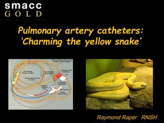 Pulmonary artery catheters:
Charming the yellow snake
Pulmonary artery catheters:
‘Charming the yellow snake’
Raymond Raper RNSH
 
