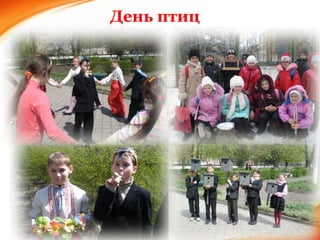 День птиц 