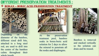 Bamboo as construction material | PPTX