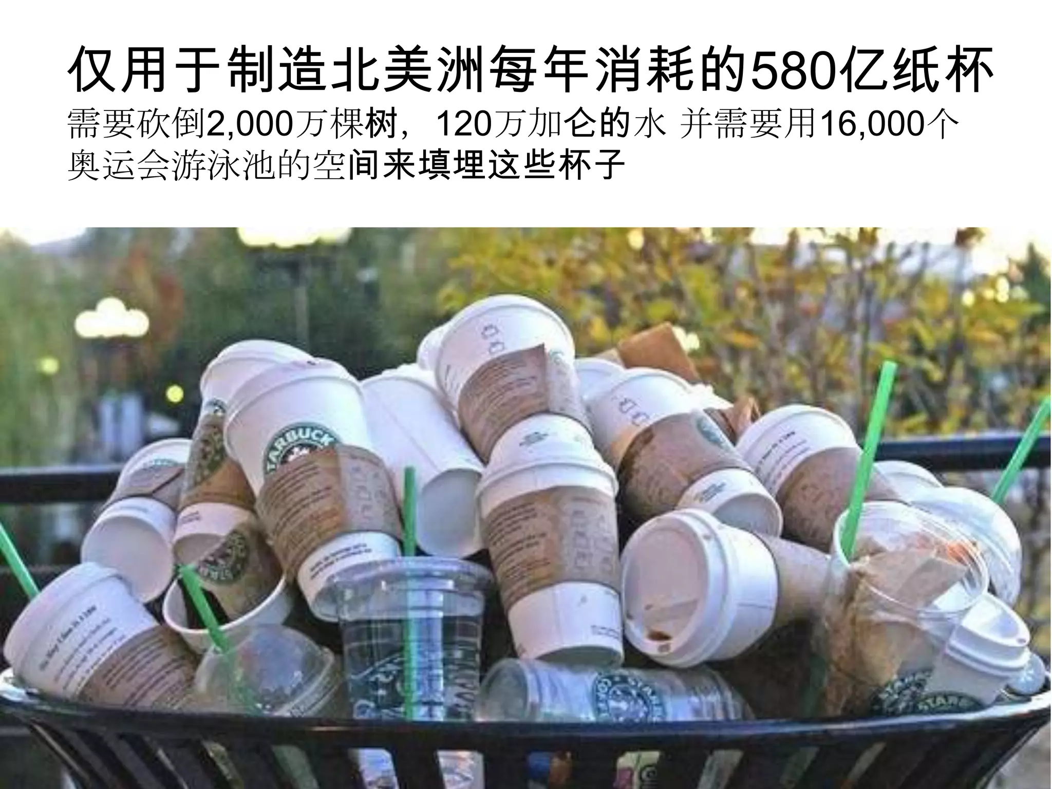 仅用于制造北美洲每年消耗的580亿纸杯
需要砍倒2,000万棵树，120万加仑的水 并需要用16,000个
奥运会游泳池的空间来填埋这些杯子
 