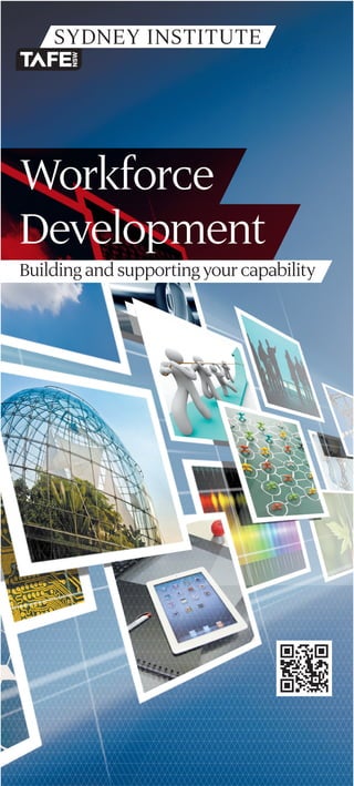 Workforce
Development
Building and supporting your capability
 
