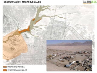 DESOCUPACION TOMAS ILEGALES VERTEDEROS ILEGALES PROPIEDAD PRIVADA 