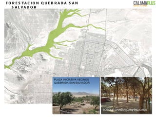 FORESTACION QUEBRADA SAN SALVADOR PLAZA INICIATIVA VECINOS  QUEBRADA SAN SALVADOR  BOSQUE CHAÑAR CAMPING OASIS  