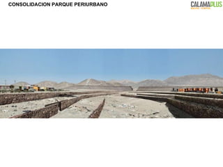 CONSOLIDACION PARQUE PERIURBANO 