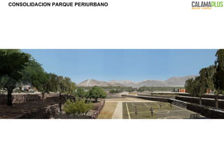 CONSOLIDACION PARQUE PERIURBANO 