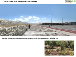 Parque aterrazado usando t écnicas constructivas similares cultura del Alto Loa CONSOLIDACION PARQUE PERIURBANO 