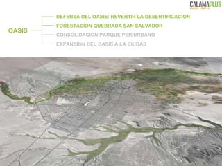 DEFENSA DEL OASIS: REVERTIR LA DESERTIFICACION OASIS CONSOLIDACION PARQUE PERIURBANO FORESTACION QUEBRADA SAN SALVADOR EXPANSION DEL OASIS A LA CIUDAD 