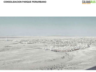 CONSOLIDACION PARQUE PERIURBANO 