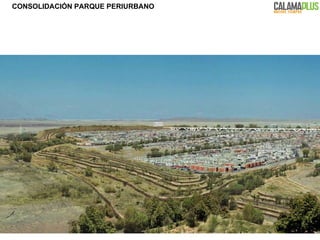 CONSOLIDACIÓN PARQUE PERIURBANO 