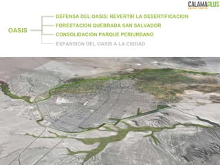 DEFENSA DEL OASIS: REVERTIR LA DESERTIFICACION OASIS CONSOLIDACION PARQUE PERIURBANO FORESTACION QUEBRADA SAN SALVADOR EXPANSION DEL OASIS A LA CIUDAD 