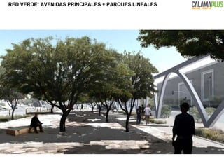 RED VERDE: AVENIDAS PRINCIPALES +  PARQUES LINEALES 