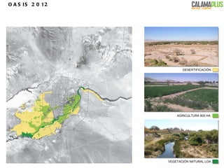 VEGETACIÓN NATURAL LOA OASIS 2012 DESERTIFICACIÓN AGRICULTURA 800 HA 