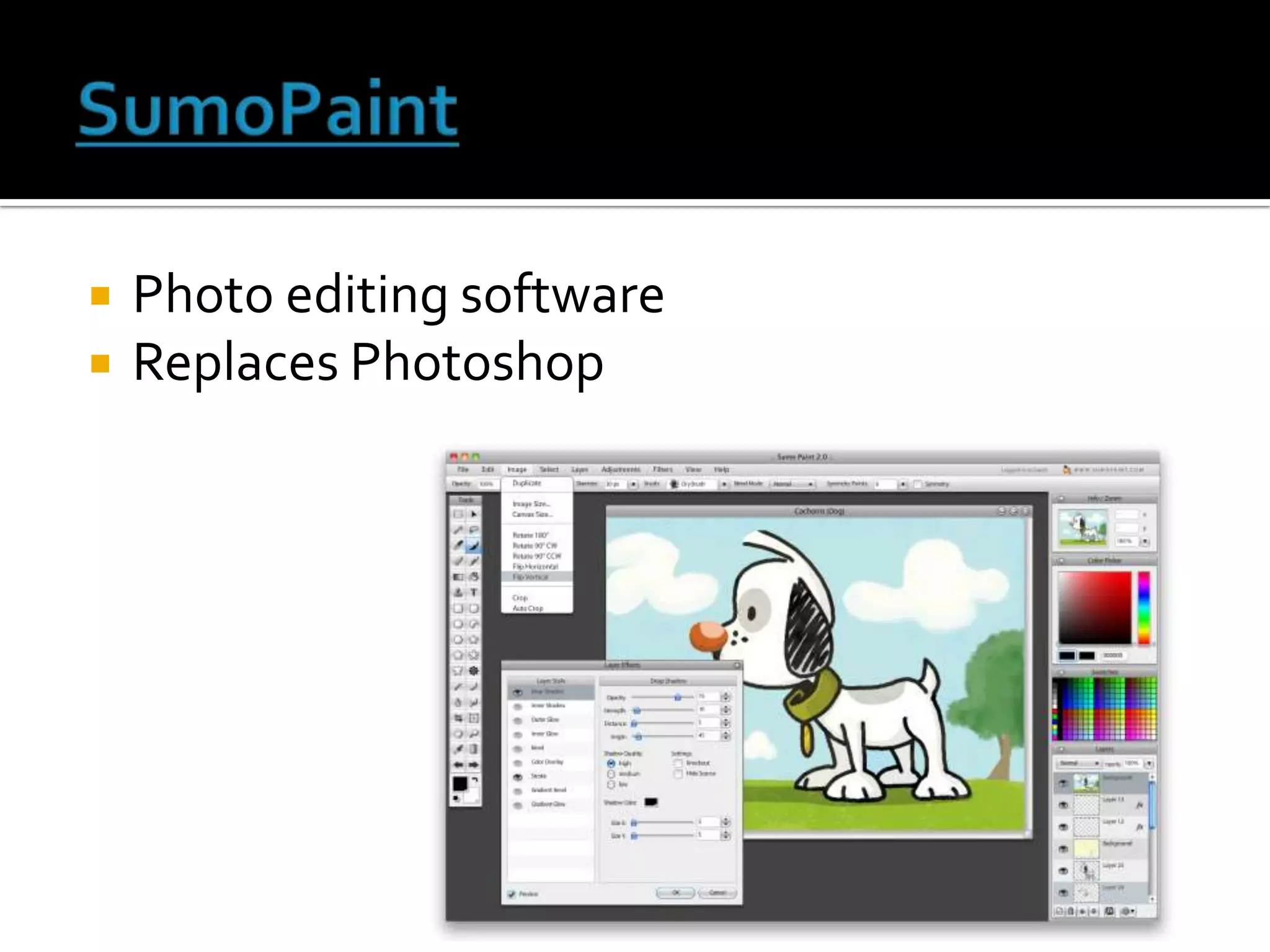    Photo editing software
   Replaces Photoshop
 