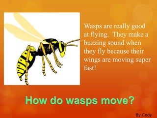 Wasps are really good
at flying. They make a
buzzing sound when
they fly because their
wings are moving super
fast!




                 By Cody
 