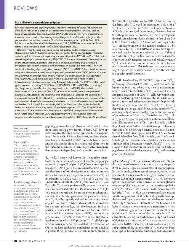 roles of inflammation in diseases essay The role of inflammation in alcoholic liver disease biology essay plays it roles to hepatitis a is a viral disease that causes the inflammation of the. roles of inflammation in diseases essay The role of inflammation in alcoholic liver disease biology essay plays it roles to hepatitis a is a viral disease that causes the inflammation of the.