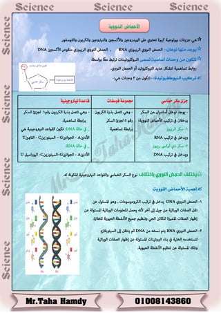 .‫واًفىطفىز‬ ‫واًوسةىن‬ ‫واًنٌرتوطني‬ ‫واألهظظني‬ ‫اًهٌدزوطني‬ ‫غىل‬ ‫دؼذىي‬ ‫هتريج‬ ‫ةٌىًىطٌح‬ ‫طصًئاخ‬ ٍ‫ه‬
:ٌ‫ىوعا‬ ‫ميَا‬ ‫يوجد‬-‫اًسًتىشي‬ ‫اًنىوي‬ ‫اًؼمؼ‬RNA,‫األهظظني‬ ‫منلىص‬ ‫اًسًتىشي‬ ‫اًنىوي‬ ‫اًؼمؼ‬DNA
‫أساسية‬ ‫وحدات‬ ً‫م‬ ٌ‫تتكو‬‫تشنى‬‫اًنٌىهٌٌىدٌداخ‬‫ةىاطؿح‬ ‫ا‬‫ا‬‫ػ‬‫م‬ ‫دسدتـ‬
ٍ‫ًذشو‬ ‫دظاهمٌح‬ ‫زواةـ‬‫أ‬ ‫اًنٌىهٌٌىدٌد‬ ‫غدًد‬‫و‬.‫اًنىوي‬ ‫اًؼمؼ‬
:‫الييوكليوتيدة‬ ‫تركيب‬-‫من‬ ‫دذوىن‬3:ٍ‫ه‬ ‫وػداخ‬-
.‫ًه‬ ‫املوىنح‬ ‫اًنٌرتوطٌنٌح‬ ‫واًلىاغد‬ ‫اًخٌليس‬ ‫اًظوس‬ ‫نىع‬
:‫اليووية‬ ‫األمحاض‬ ‫أٍنية‬
1-‫ا‬‫اًنىوي‬ ‫ًؼمؼ‬DNA‫وهى‬ , ‫اًوسومىطىماخ‬ ‫دسهٌث‬ ‫يف‬ ٍ‫ًدخ‬‫غن‬ ‫املظئىي‬
‫اسٌح‬‫ز‬‫اًى‬ ‫اًطفاخ‬ ٍ‫نل‬‫غن‬ ‫املظئىًح‬ ‫اسٌح‬‫ز‬‫اًى‬ ‫املػٌىماخ‬ ٍ‫ًؼم‬ ‫ألنه‬ ‫آخس‬ ‫إىل‬ ٌٍ‫ط‬ ‫من‬
‫ًٌخالًا‬ ‫اًؼٌىًح‬ ‫األنشؿح‬ ‫طمٌؼ‬ ‫ودنظٌم‬ ٍ‫اًؼ‬ ‫ًٌوائن‬ ‫املمٌصج‬ ‫اًطفاخ‬ ‫إظهاز‬.
2-‫اًنىوي‬ ‫اًؼمؼ‬RNA‫من‬ ‫نظخه‬ ‫ًذم‬DNAَ‫اًظٌذىةالش‬ ‫إىل‬ ٍ‫ًنذل‬ ‫سم‬
‫ًذ‬‫ظذخدم‬‫اًخٌٌح‬ ‫ه‬‫اسٌح‬‫ز‬‫اًى‬ ‫اًطفاخ‬ ‫إظهاز‬ ‫غن‬ ‫املظئىًح‬ ‫اًربودٌناخ‬ ‫ةناء‬ ‫يف‬
‫و‬‫األنشؿح‬ ‫دنظٌم‬ ‫غن‬ ‫املظئىًح‬ ‫دٌى‬.‫اًؼٌىًح‬
‫مخاسي‬‫سكر‬‫جزئ‬‫فوسفات‬‫جمموعة‬‫نيرتوجينية‬‫قاعدة‬
-‫اًظوس‬ ‫من‬ ‫أطاطٌان‬ ‫نىغان‬ ‫ًىطد‬
:‫اًنىوًح‬ ‫األػٌلع‬ ‫دسهٌث‬ ‫يف‬ ‫ًدخالن‬
1-‫اًسًتىش‬ ‫طوس‬
‫دسهٌث‬ ‫يف‬ ٍ‫وًدخ‬RNA
2-‫زًتىش‬ ‫أوهىس‬ ‫دي‬ ‫طوس‬
‫دسهٌث‬ ‫يف‬ ٍ‫وًدخ‬DNA
-‫اًوسةىن‬ ‫ةرزج‬ ٍ‫دذط‬ ٍ‫وه‬
‫زكم‬5‫اًظوس‬ ‫ًظصئ‬
‫دظاهمٌح‬ ‫اةؿح‬‫س‬‫ة‬
-‫زكم‬ ‫اًوسةىن‬ ‫ةرزج‬ ٍ‫دذط‬ ٍ‫وه‬1‫اًظوس‬ ‫ًظصئ‬
‫دظاهمٌح‬ ‫اةؿح‬‫س‬‫ة‬.
‫ػاًح‬ ‫يف‬ _DNA:ٍ‫ه‬ ‫اًنٌرتوطٌنٌح‬ ‫اًلىاغد‬ ‫دوىن‬
‫األدنني‬A-‫اًظىانني‬G–‫اًظٌذىشًن‬C-‫اًشاميني‬T
‫ػاًح‬ ‫يف‬ _RNA:
‫األدنني‬A-‫اًظىانني‬G–‫اًظٌذىشًن‬C-ٌٍ‫اط‬‫ز‬‫اًٌى‬U
‫األمحاض‬‫النووية‬
 