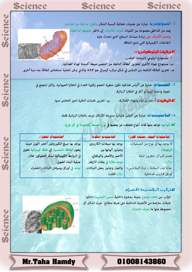الباب الثاني 1ث 2015