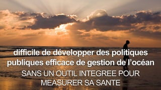 difficile de développer des politiques
publiques efficace de gestion de l’océan
SANS UN OUTIL INTEGREE POUR
MEASURER SA SANTE
 