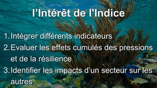 1.Intégrer différents indicateurs
2.Evaluer les effets cumulés des pressions
et de la résilience
3.Identifier les impacts d’un secteur sur les
autres
l’Intérêt de l'Indice
 