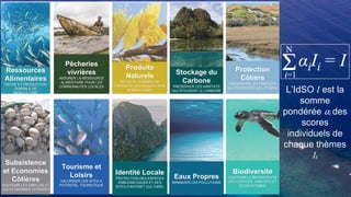 Dix Thèmes Humains: un Portail
de l’Océan
L’IdSO I est la
somme
pondérée ⍺i des
scores
individuels de
chaque thèmes
Ii
Ressources
Alimentaires
PECHE ET PRODUCTION
DURABLE DE
MARICULTURE
Stockage du
Carbone
PRESERVER LES HABITATS
QUI STOCKENT LE CARBONE
Protection
Côtière
PRESERVER LES HABITATS
QUI PROTEGENT LE LITTORAL
Identité Locale
PROTECTION DES ESPECES
EMBLEMATIQUES ET DES
SITES D’INTERET CULTUREL
Tourisme et
Loisirs
VALORISER LES SITES A
POTENTIEL TOURISTIQUE
Subsistence
et Economies
Côtières
SOUTENIR LES EMPLOIS ET
LES ECONOMIES COTIERES
Pêcheries
vivrières
ASSURER LA RESSOURCE
ALIMENTAIRE POUR LES
COMMUNAUTES LOCALES
Produits
Naturels
RECOLTE DURABLE DE
PRODUITS OCEANIQUES NON
ALIMENTAIRES
Eaux Propres
MINIMIZER LES POLLUTIONS
Biodiversité
SOUTENIR LA BIODIVERSITE
DES ESPECES, HABITATS ET
ECOSYSTEMES
 