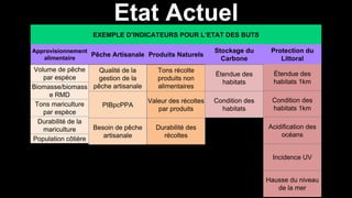 Étendue des
habitats
Condition des
habitats
EXEMPLE D’INDICATEURS POUR L’ETAT DES BUTS
Volume de pêche
par espèce
Biomasse/biomass
e RMD
Tons mariculture
par espèce
Durabilité de la
mariculture
Population côtière
Qualité de la
gestion de la
pêche artisanale
PIBpcPPA
Besoin de pêche
artisanale
Tons récolte
produits non
alimentaires
Valeur des récoltes
par produits
Durabilité des
récoltes
Approvisionnement
alimentaire
Pêche Artisanale Produits Naturels
Stockage du
Carbone
Protection du
Littoral
Étendue des
habitats 1km
Condition des
habitats 1km
Acidification des
océans
Incidence UV
Hausse du niveau
de la mer
Etat Actuel
 