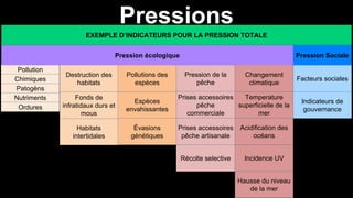 Pression de la
pêche
Prises accessoires
pêche
commerciale
Prises accessoires
pêche artisanale
Récolte selective
Pressions
EXEMPLE D’INDICATEURS POUR LA PRESSION TOTALE
Pollution
Chimiques
Patogèns
Nutriments
Ordures
Destruction des
habitats
Fonds de
infratidaux durs et
mous
Habitats
intertidales
Pollutions des
espèces
Espèces
envahissantes
Évasions
génétiques
Facteurs sociales
Indicateurs de
gouvernance
Pression écologique Pression Sociale
Changement
climatique
Temperature
superficielle de la
mer
Acidification des
océans
Incidence UV
Hausse du niveau
de la mer
 