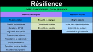 Résilience
EXEMPLE D’INDICATEURS POUR LA RESILIENCE
Espèces envahissantes
Signataires CITES
Regulation de la pêche
Protection des habitats
Protection de la biodiversité
Bonne gouvernance
Regulation tourisme durable
Regulation eaux propres
Diversité des espèces
Diversité des habitats
Indice de compétitivité globale
Uniformité des secteurs
Indicateurs de gouvernance
Résilience écologique Résilience sociale
Réglementation Intégrité écologique Intégrité sociale
 