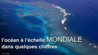 © Olivier Langrand
l’océan à l’échelle MONDIALE
dans quelques chiffres
 