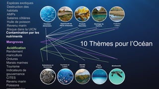 Espèces exotiques
Destruction des
habitats
AMPs
Salaires côtières
Huile de poisson
Revenu marin
Risque dans la UICN
Rendement
mariculture
Ordures
Marais marines
Tourisme
Indicateurs de
gouvernance
CITES
Revenu marin
Poissons
Contamination par les
nutriments
Mangroves
Acidification
10 Thèmes pour l’Océan
Protection
Côtière
Subsistence et
Economies
Provision
Alimentaire
Opportunité de
Pêche Artisanale
Produits
Naturelles
Stockage du
Carbone
Tourisme et
Loisirs
Identité
Locale
Eaux
Propres
Biodiversité
 