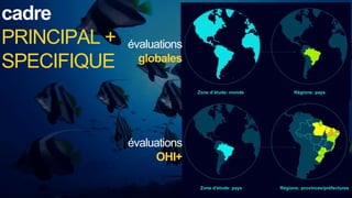 Zone d’étude: monde Régions: pays
évaluations
globales
évaluations
OHI+
Zone d’étude: pays Régions: provinces/préfectures
cadre
PRINCIPAL +
SPECIFIQUE
 