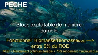 PECHE
Stock exploitable de manière
durable
Fonctionnel: Biomasse/BiomasseRMD —>
entre 5% du ROD
ROD = Rendement optimum durable = 75% rendement maximum durable
 