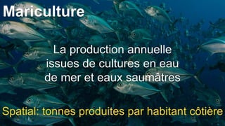 Mariculture
Spatial: tonnes produites par habitant côtière
La production annuelle
issues de cultures en eau
de mer et eaux saumâtres
 