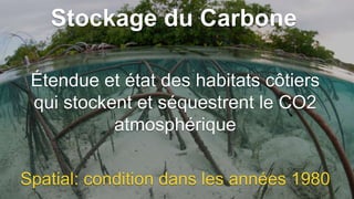 Stockage du Carbone
Étendue et état des habitats côtiers
qui stockent et séquestrent le CO2
atmosphérique
Spatial: condition dans les années 1980
 