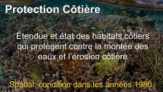 Protection Côtière
Étendue et état des habitats côtiers
qui protègent contre la montée des
eaux et l’érosion côtière
Spatial: condition dans les années 1980
 