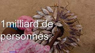 1milliard de personnes
photo: © art wolfe/ www.artwolfe.com
 