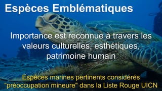 Espèces Emblématiques
Importance est reconnue à travers les
valeurs culturelles, esthétiques,
patrimoine humain
Espèces marines pertinents considérés
“préoccupation mineure" dans la Liste Rouge UICN
 