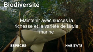 Biodiversité
Maintenir avec succès la
richesse et la variété de la vie
marine
ESPECES HABITATS
 