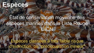 Espèces
État de conservation moyenne des
espèces marines dans la Liste Rouge
UICN
Espèces classées à très faible risque
d'extinction, ou “préoccupation mineur"
 