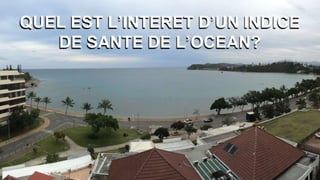 QUEL EST L’INTERET D’UN INDICE
DE SANTE DE L’OCEAN?
 