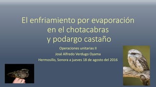 El enfriamiento por evaporación
en el chotacabras
y podargo castaño
Operaciones unitarias II
José Alfredo Verdugo Oyama
Hermosillo, Sonora a jueves 18 de agosto del 2016
 